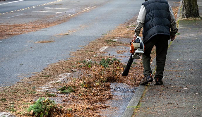 A person is removing curbside leaves