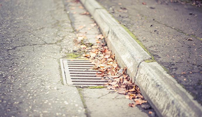 Drain clogged with leaves