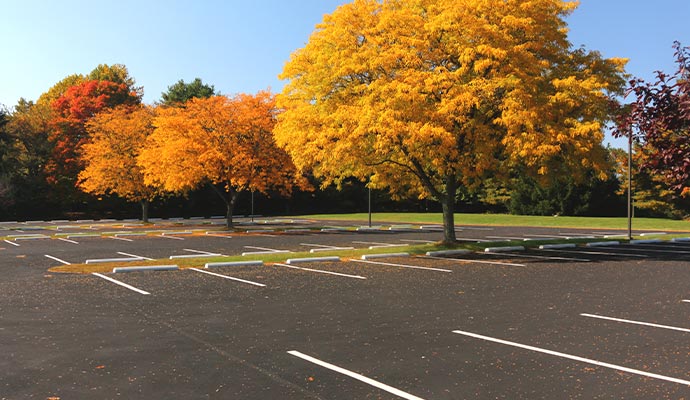 Freshly striped asphalt parking lot in the fall season with colorful trees